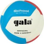Мяч вол. GALA School 12, BV5715S, р. 5, син.кожа ПУ, под.сл. пена, клеен,бут.кам,бел-крас--гол