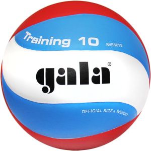 Мяч вол. «GALA Training 10» арт. BV5561S, р. 5, синт. кожа ПУ, клееный, бут. кам, бел-гол-красн