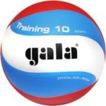 Мяч вол. «GALA Training 10» арт. BV5561S, р. 5, синт. кожа ПУ, клееный, бут. кам, бел-гол-красн