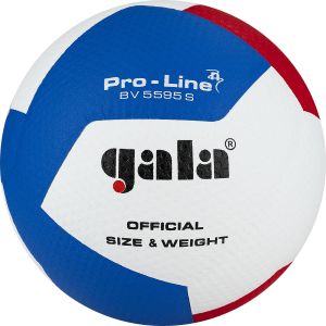 Мяч вол. «GALA Pro-Line 12» арт. BV5595SA, р. 5,синт.кожа ПУ Microfiber,клееный,бут.кам,бело-гол