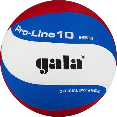 Мяч вол. «GALA Pro-Line 10» арт. BV5821SA, р. 5,синт.кожа ПУ Microfiber,клееный,бут.кам,бело-гол