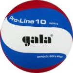 Мяч вол. «GALA Pro-Line 10» арт. BV5821SA, р. 5,синт.кожа ПУ Microfiber,клееный,бут.кам,бело-гол