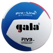 Мяч волейбольный GALA Pro-Line 12 FIVB, BV5595S, размер 5
